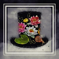 Adrien(RO), Bona Fide - Imagination