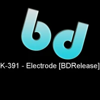 K-391 - Electrode