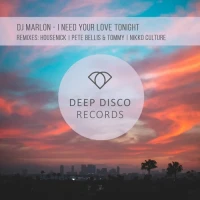 Dj Marlon - I Need Your Love Tonight (Original Mix)
