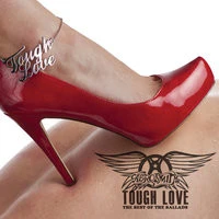 Aerosmith - Pink