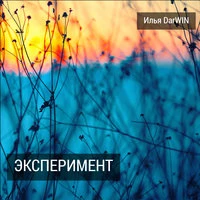 Илья DarWIN - Достаточно идти