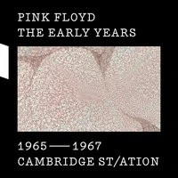 Pink Floyd - Remember Me