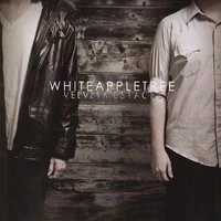 White - Snowflakes
