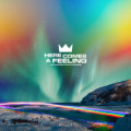 Louis The Child - Here Comes A Feeling feat. Naomi Wild