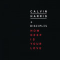 Ellie Goulding - How Deep Is Too Deep