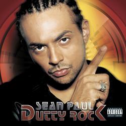 Sean Paul - Get Busy (BasslandeR Remix)